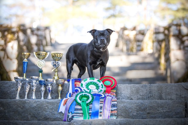 Lootus Valiokuva nettiin